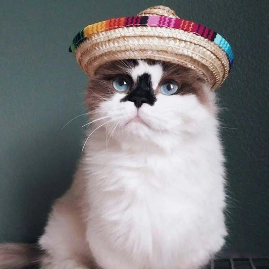 Chic Pet Sun Shield Hat